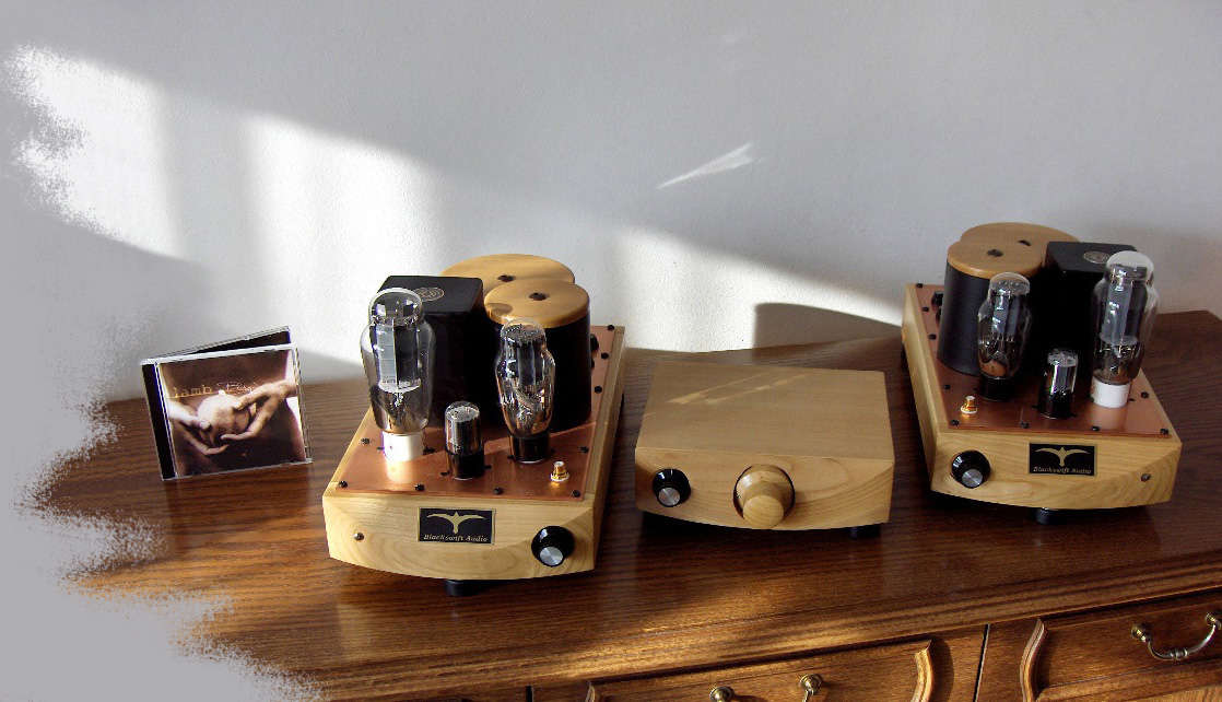 Blackswift Audio Dual Mono Single Ended Tube Amplifier