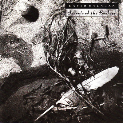 The Cover of David Silvyan - Secrets Of The Beehive 