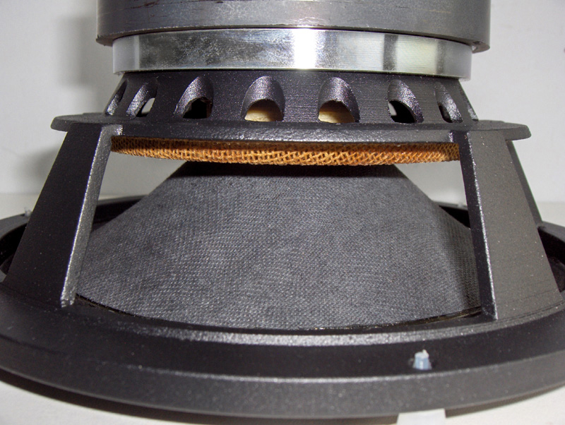 Close view of Pair of Tang Band W6-1916 cone