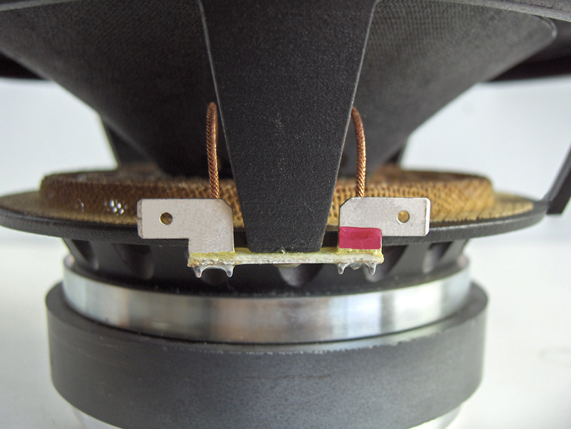 Close view of Pair of Tang Band W6-1916 cone
