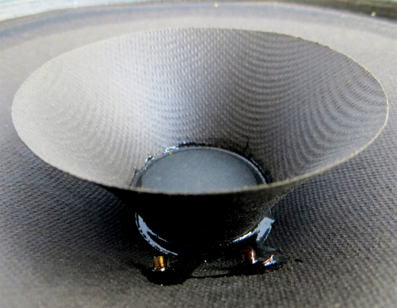 Electro Voice Michigan MC20 Cone and Whizzer Close view